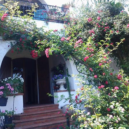 B&B Villa Piera Montecucco Stintino Buitenkant foto